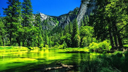 公园的风景高中作文（《夏天的风景》）