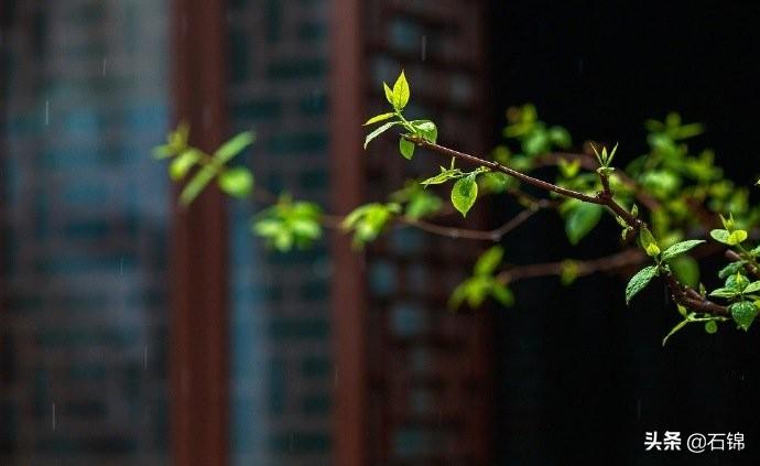 伤感经典诗词大全（推荐七首伤感诗词）