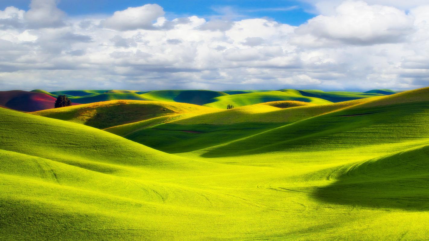 故乡的风景高中作文（《亮丽的风景》）