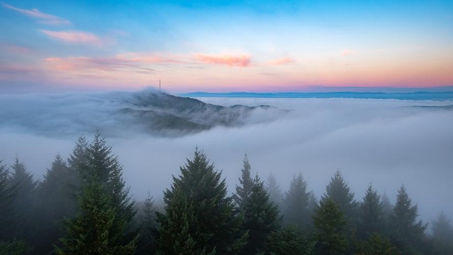 桂林的风景高中作文（《别样的风景》）