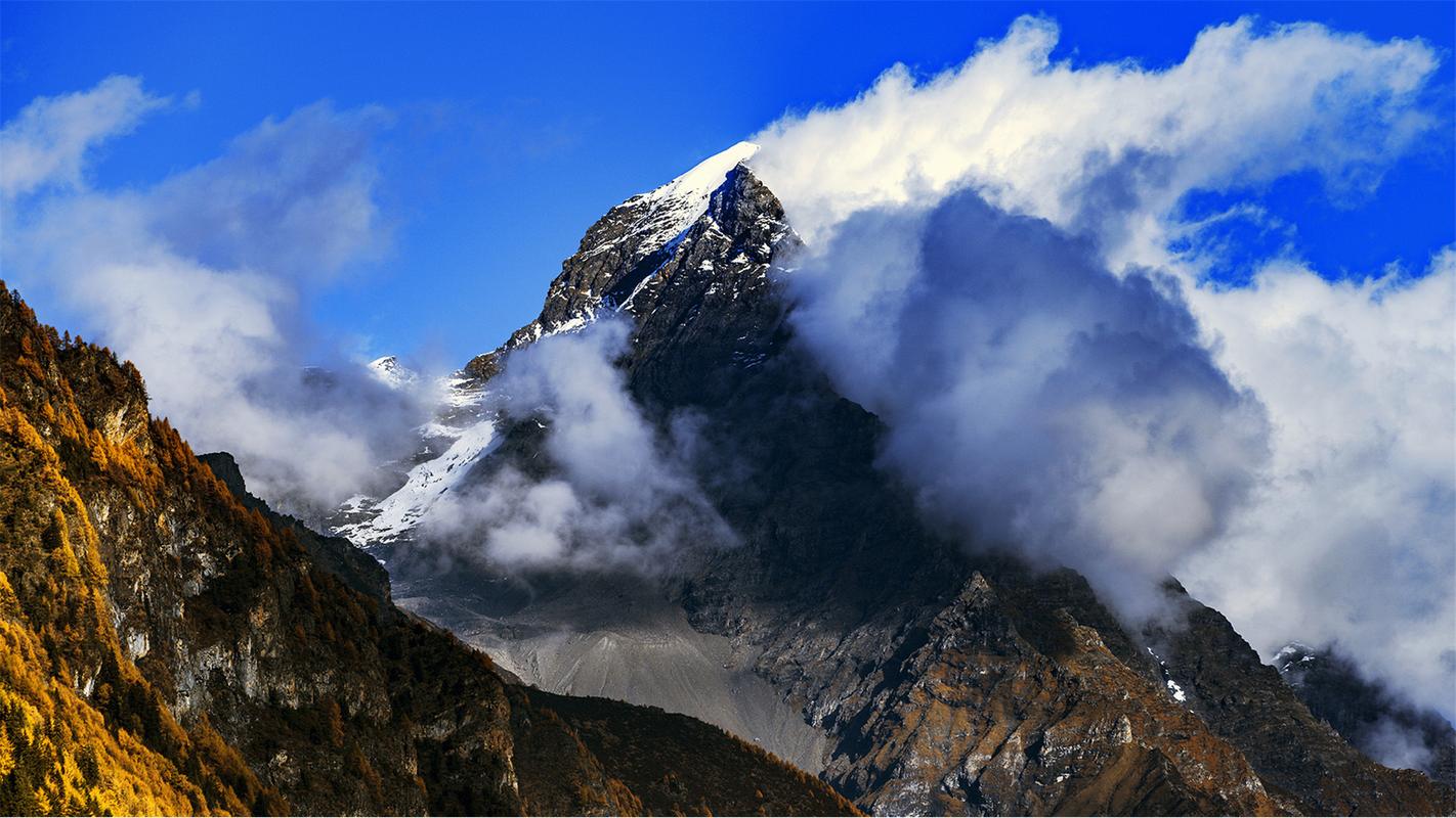 家乡的风景高中作文（《别样的风景》）