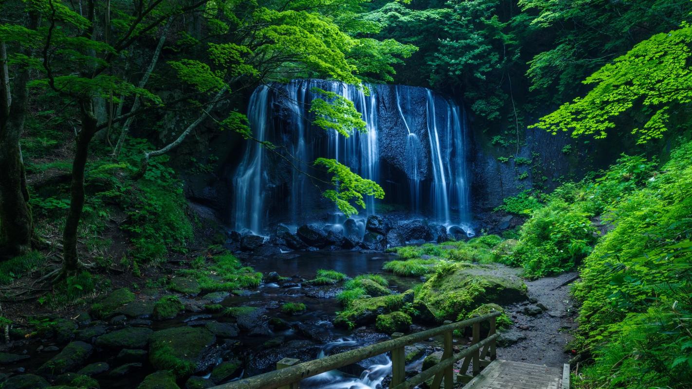 家乡的风景高中作文（《冬天的风景》）