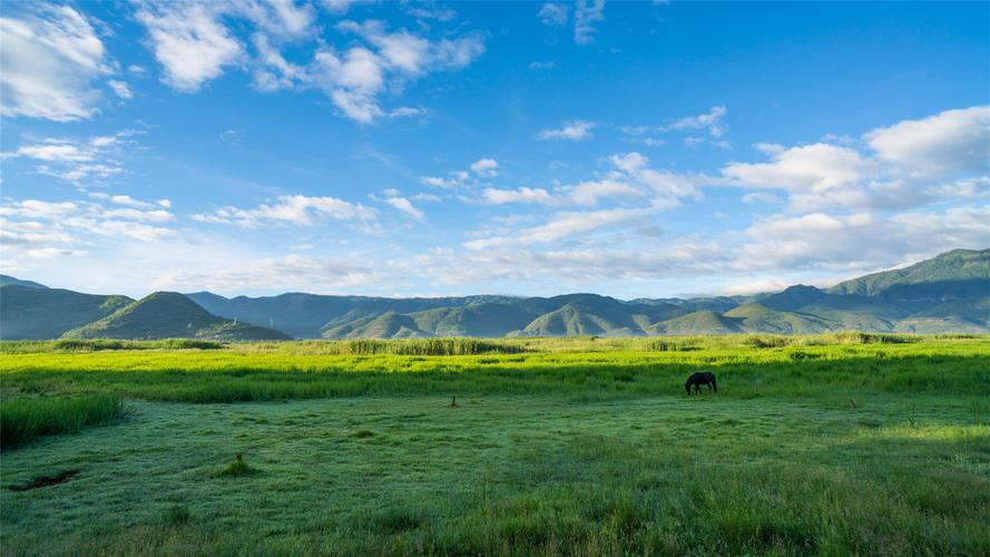 亮丽的风景高中作文（《别样的风景》）