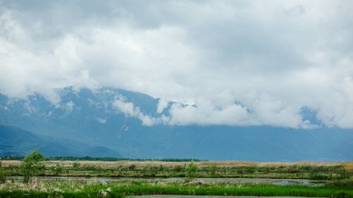 旅游的风景高中作文（《美好的风景》）