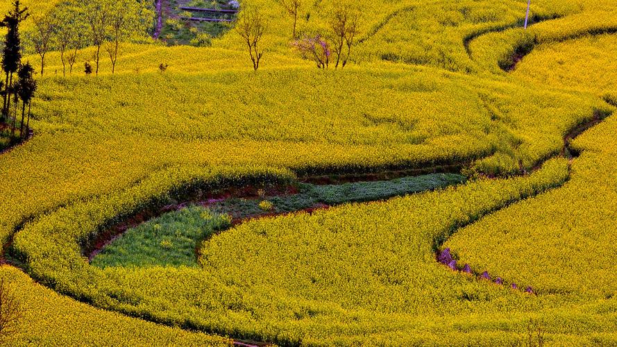 美丽的风景高中作文（《沿途的风景》）