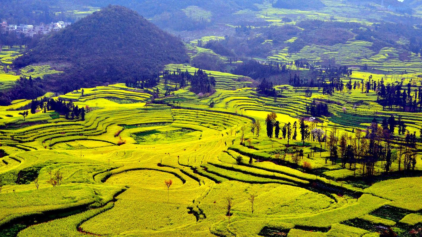 迷人的风景高中作文（《沿途的风景》）