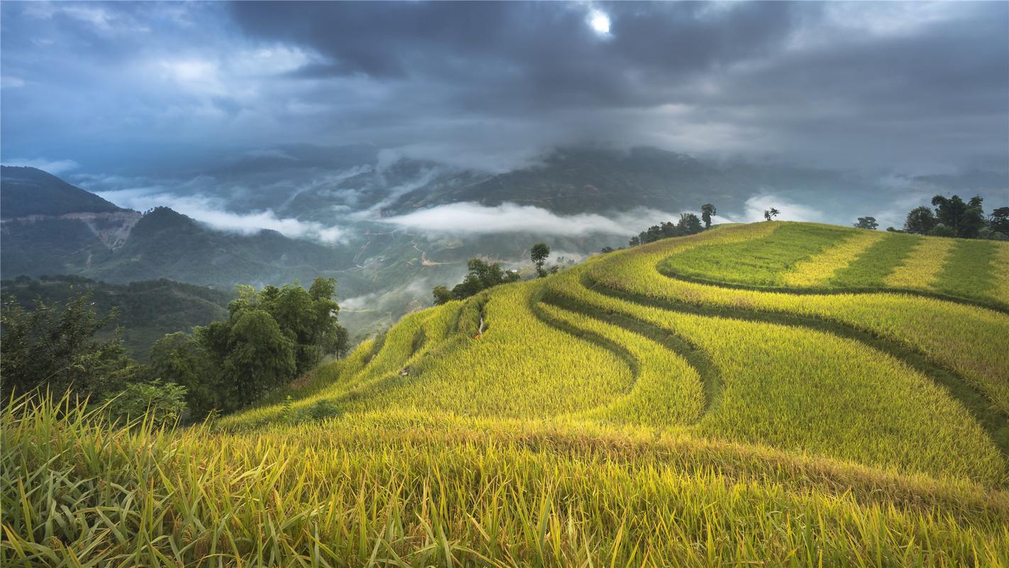 青春的风景高中作文（《别样的风景》）