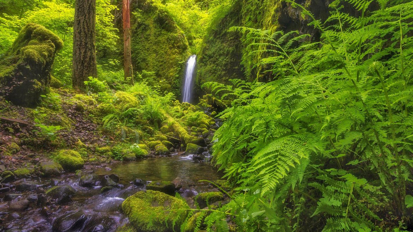 青春的风景高中作文（《乡村的风景》）