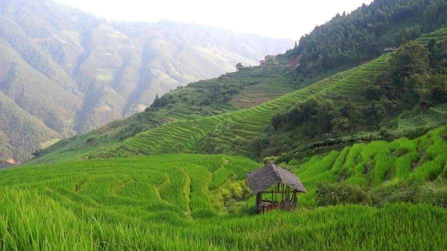 四季的风景高中作文（《亮丽的风景》）