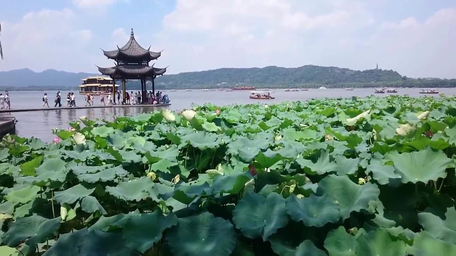 四季的风景高中作文（《春天的风景》）