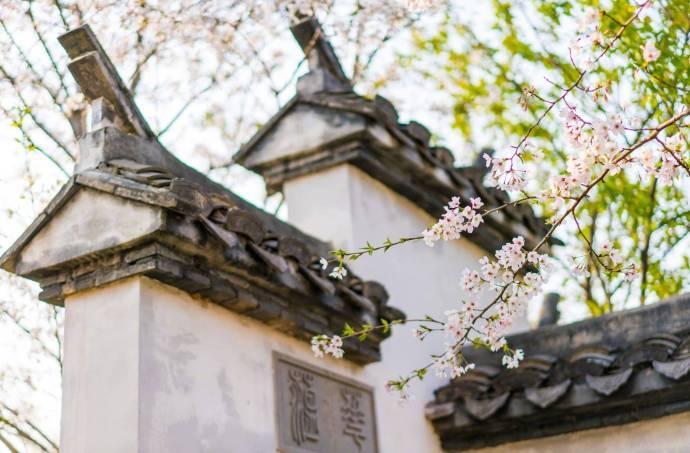 蝶恋花经典古诗词鉴赏，七首唯美《蝶恋花》