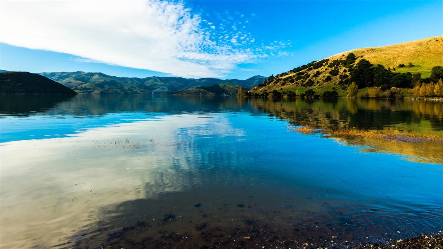 夏天的风景高中作文（《亮丽的风景》）