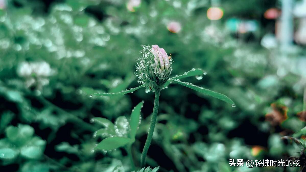 韩愈经典唐诗六首推荐（云横秦岭，雪拥蓝关）