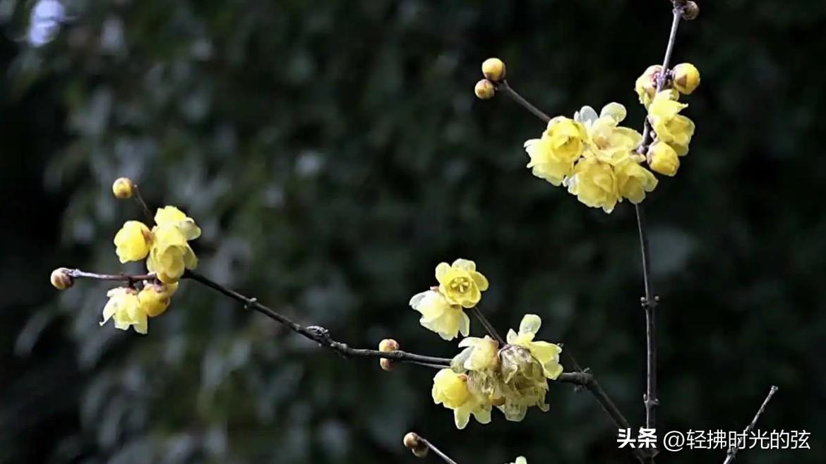 山抹微云，乱红如雨（经典婉约诗词六首）