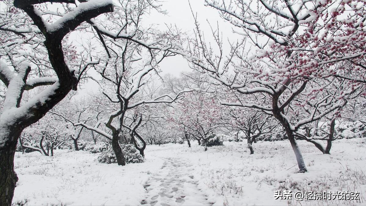 晴雪落长松，雪满长安道（36句唯美下雪诗词）