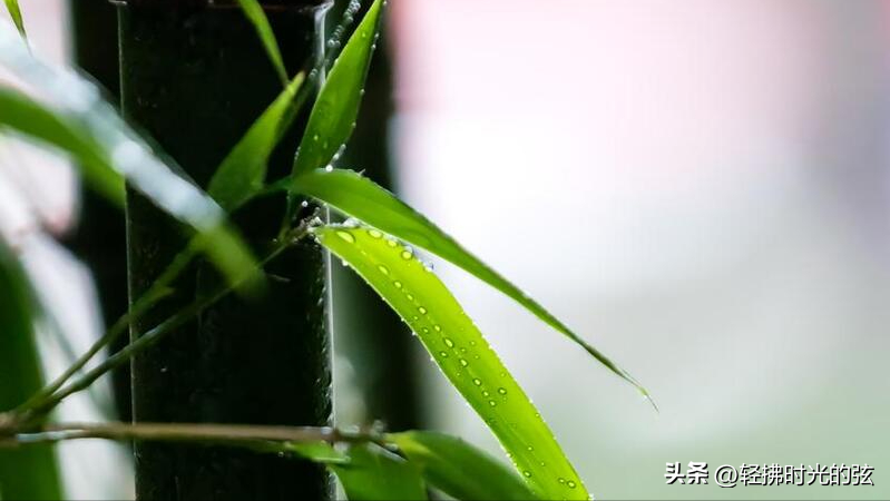 刘禹锡诗词名句精选（刘禹锡经典诗词12首）