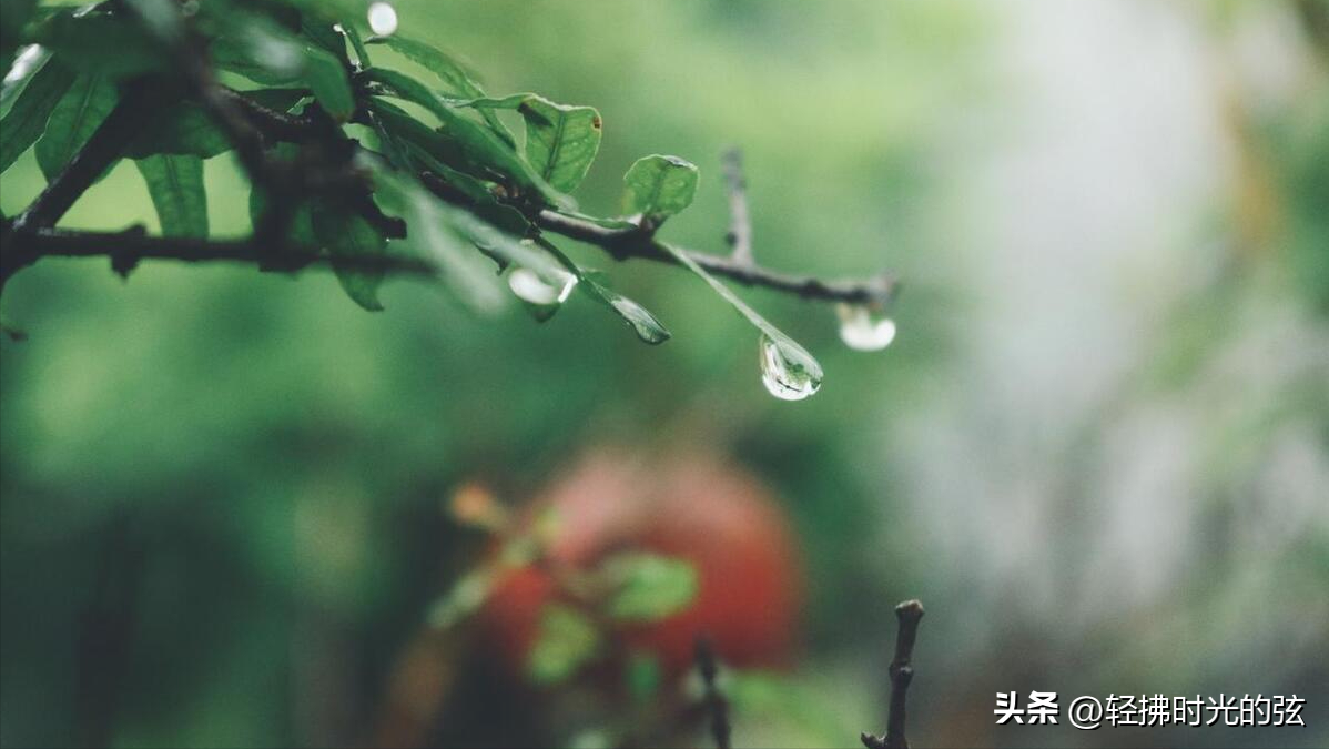 携一蓑烟雨，掬一份时光（36句烟雨经典诗词）