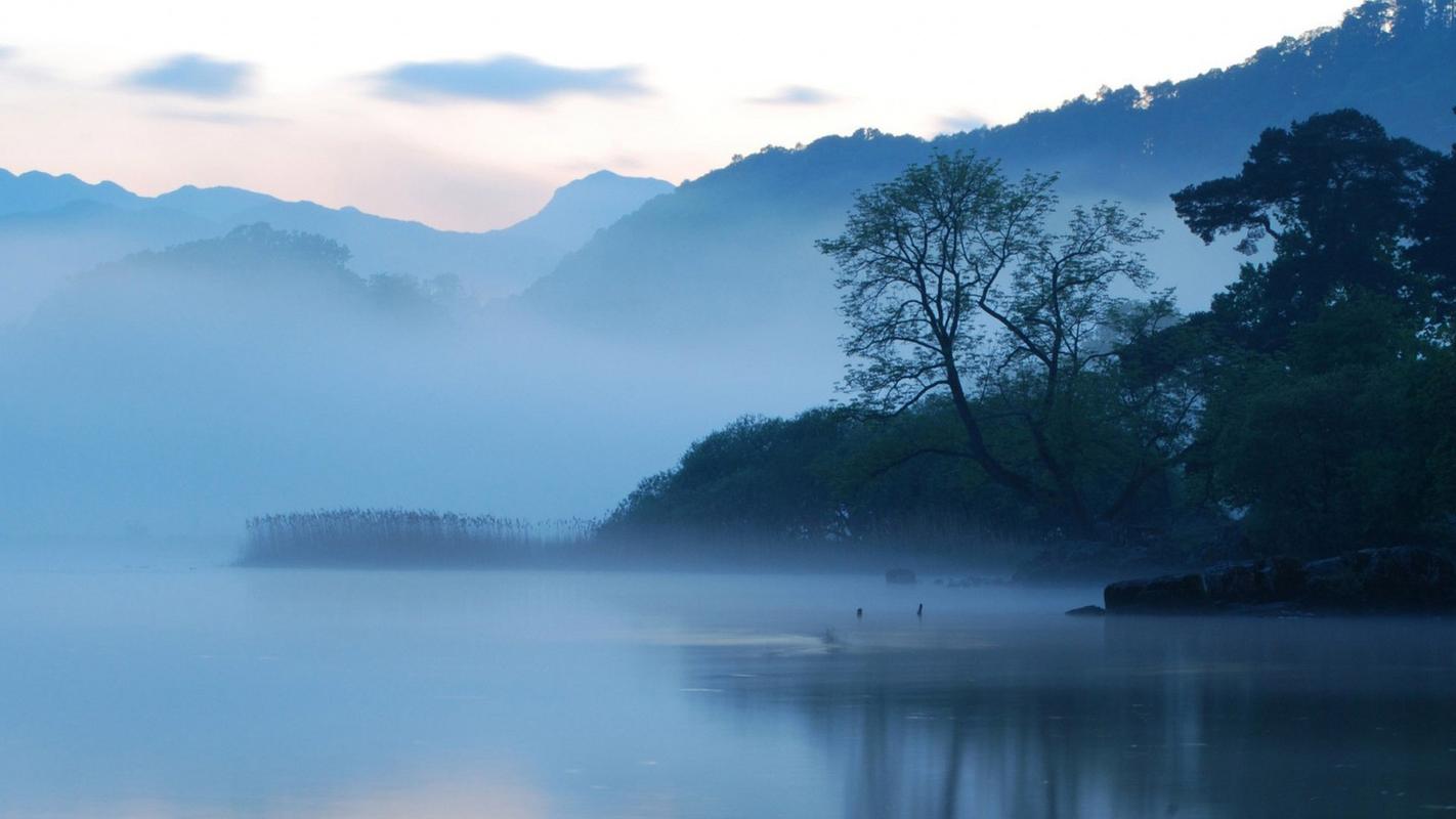 校园的风景高中作文（《亮丽的风景》）