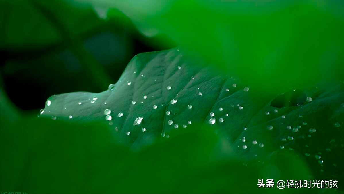 夏日雨后诗词名句大全（赞美雨后天晴的古诗）