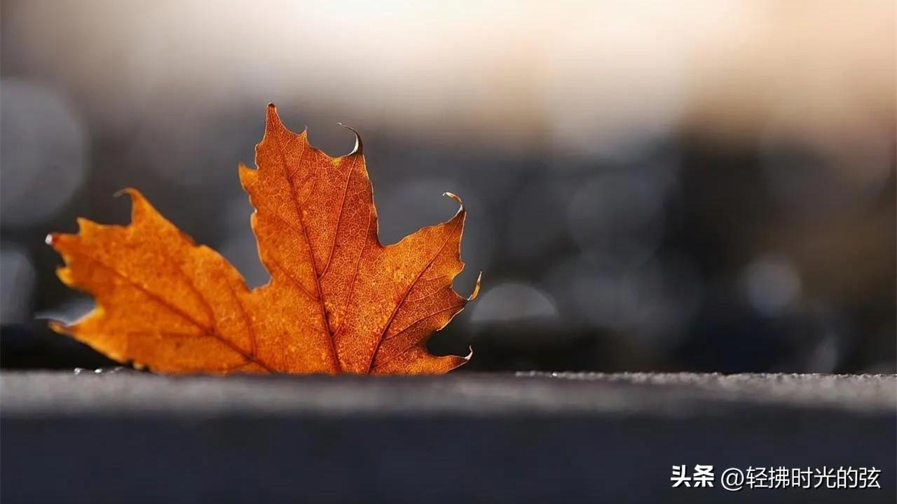 纳兰容若的诗词名句精选（纳兰容若经典唯美诗词13首）