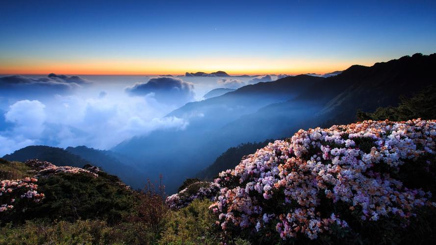 心中的风景高中作文（《乡村的风景》）