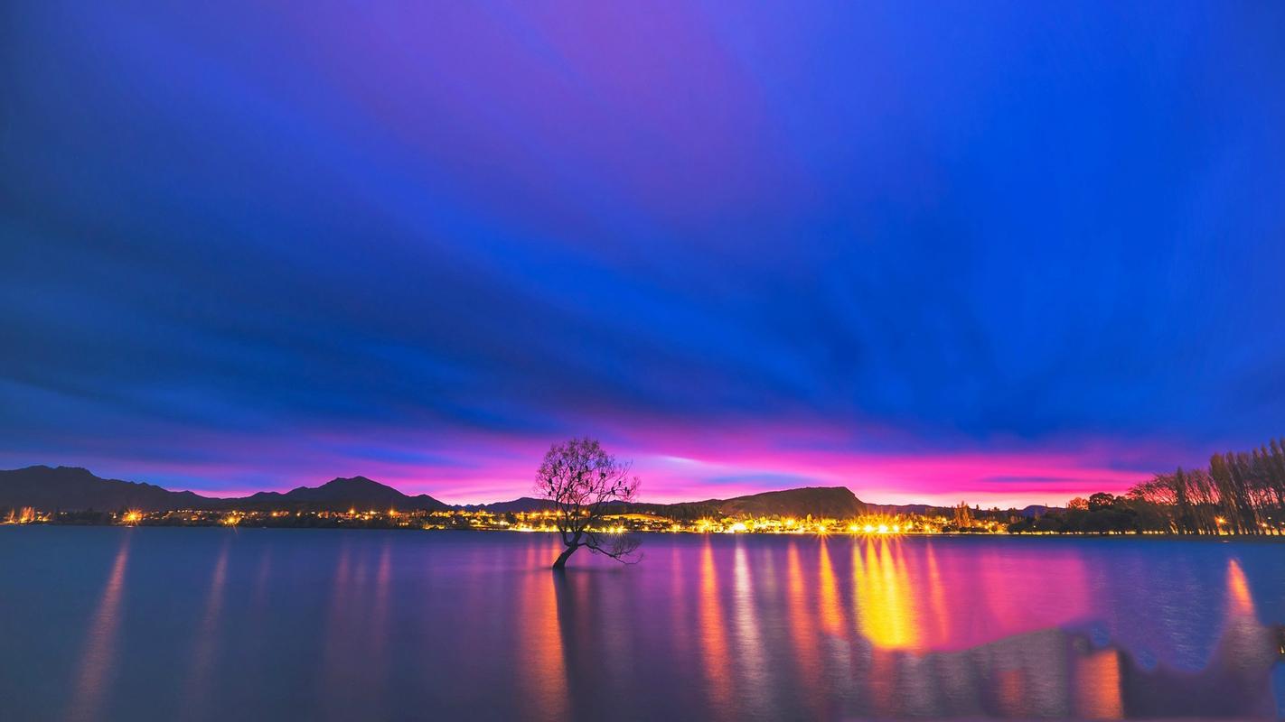 沿途的风景高中作文（《田野的风景》）