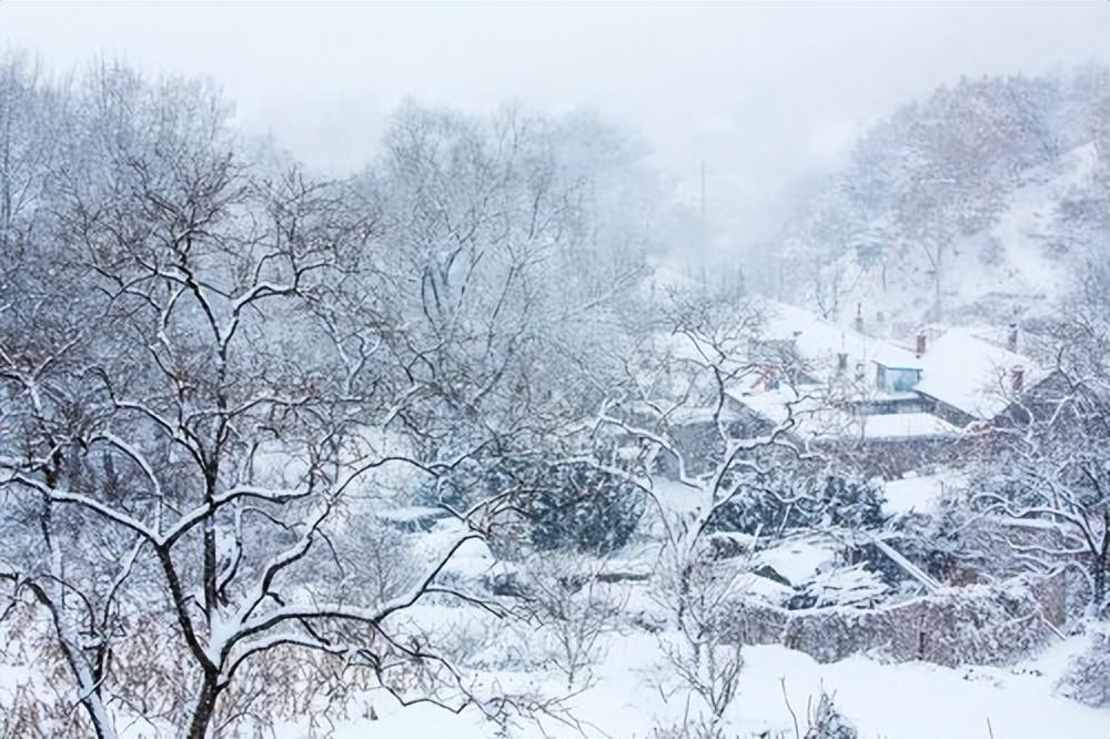 雪后经典诗词有哪些（十五首关于雪后的诗词）