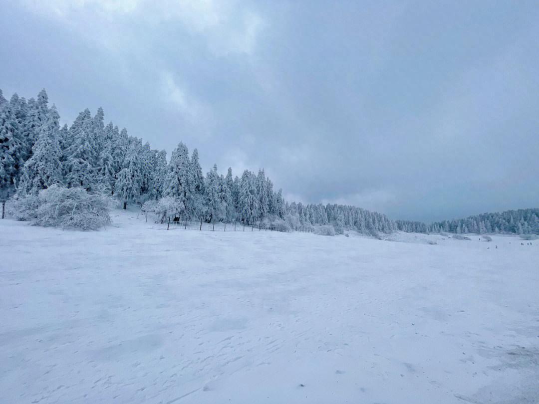 看雪经典诗词有哪些（十二首有关看雪的诗词）