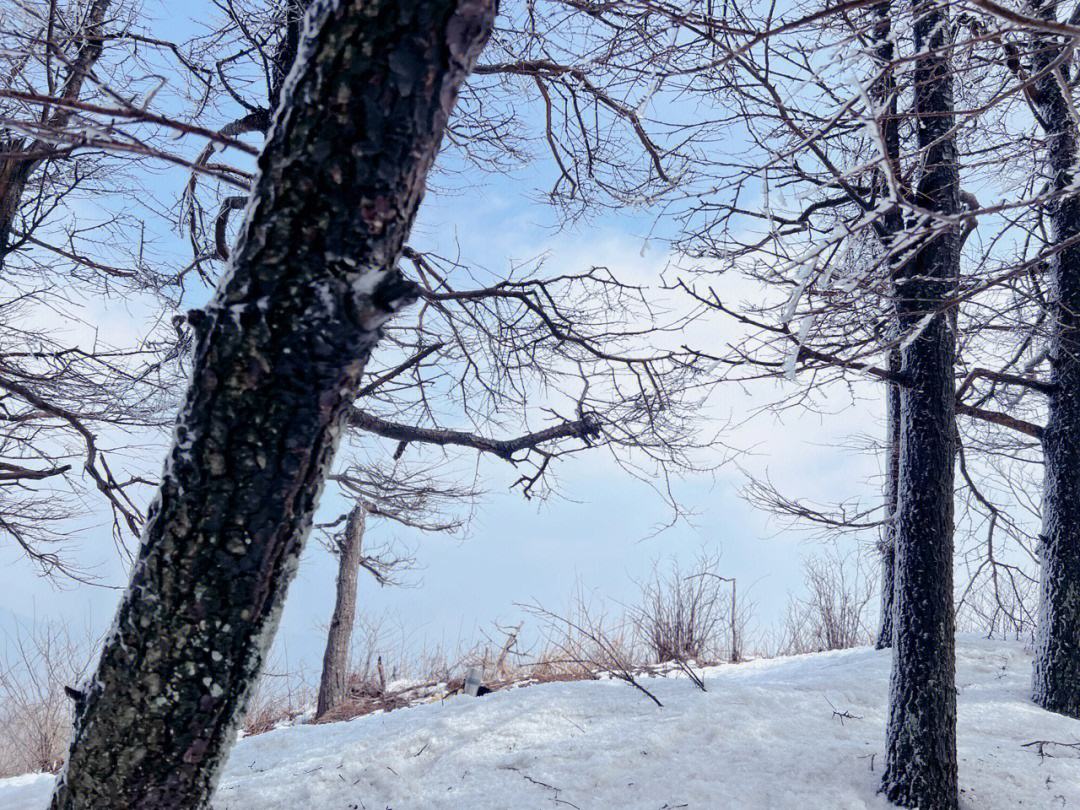 看雪经典诗词有哪些（十二首有关看雪的诗词）