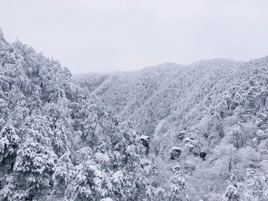 看雪经典诗词有哪些（十二首有关看雪的诗词）