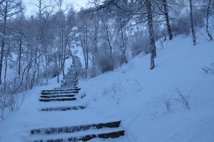 看雪经典诗词有哪些（十二首有关看雪的诗词）