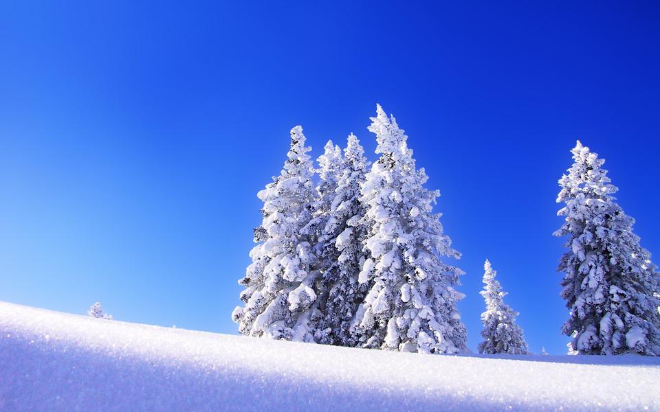 观雪经典诗词有哪些（十五关于观雪的诗词）