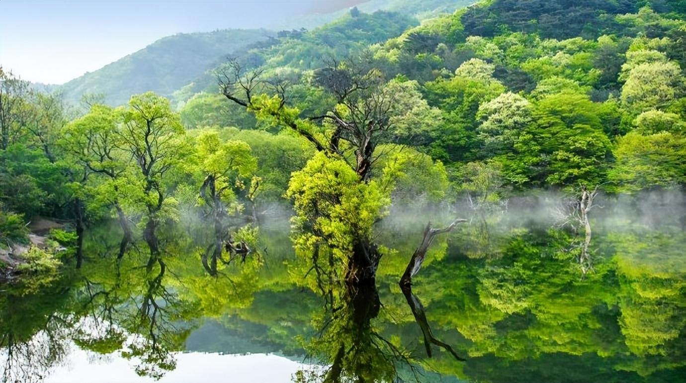 章甫的十首经典诗词（湖水欲平风作恶，秋云太薄雨无凭）