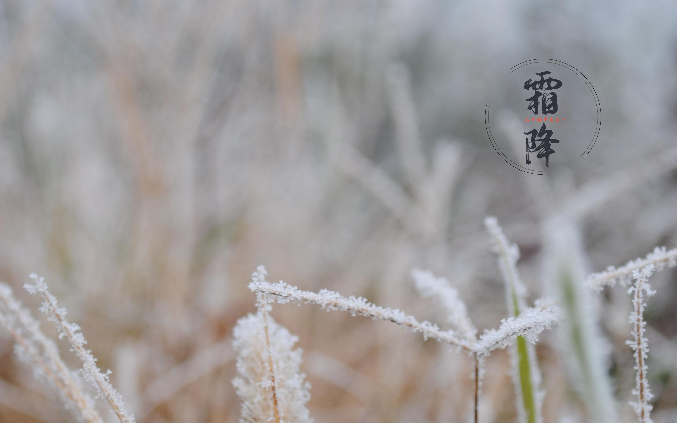 秋色最深处，好诗问寒暖（十首经典霜降诗词）