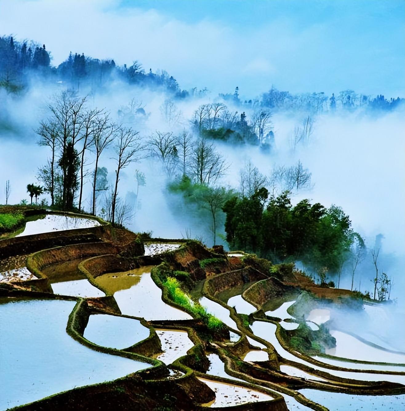 上官仪的十首经典古诗（鹊飞山月曙，蝉噪野风秋）