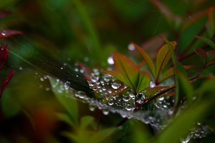 唯有别时今不忘，暮烟秋雨过枫桥（十首经典的秋雨诗词）