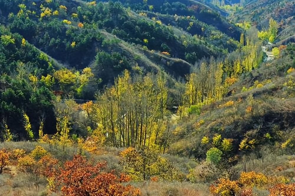 关于秋日山行的十五首诗词（停车坐爱枫林晚，霜叶红于二月花）