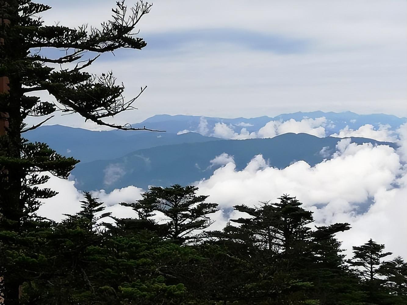 戴复古的十首唯美古诗（星辰冷落碧潭水，鸿雁悲鸣红蓼风）