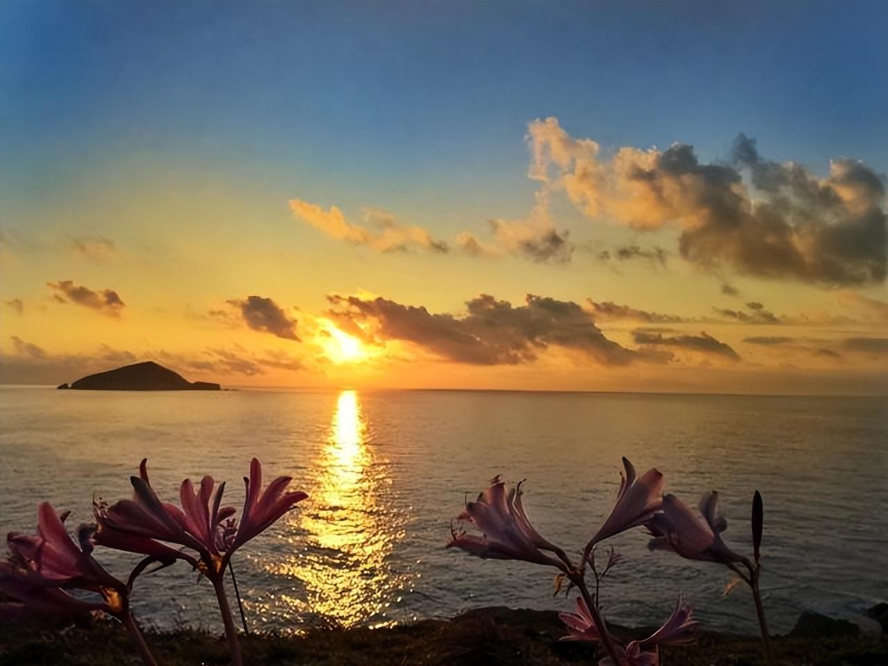 戴复古的十首唯美古诗（星辰冷落碧潭水，鸿雁悲鸣红蓼风）