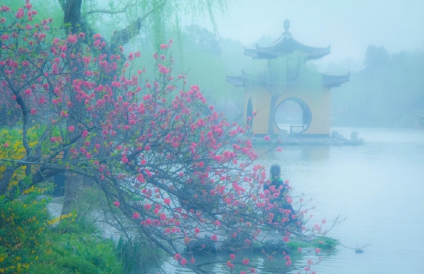 蒋山卿的十首经典诗词（春风细雨柴门闭，一树莺啼杏子花）