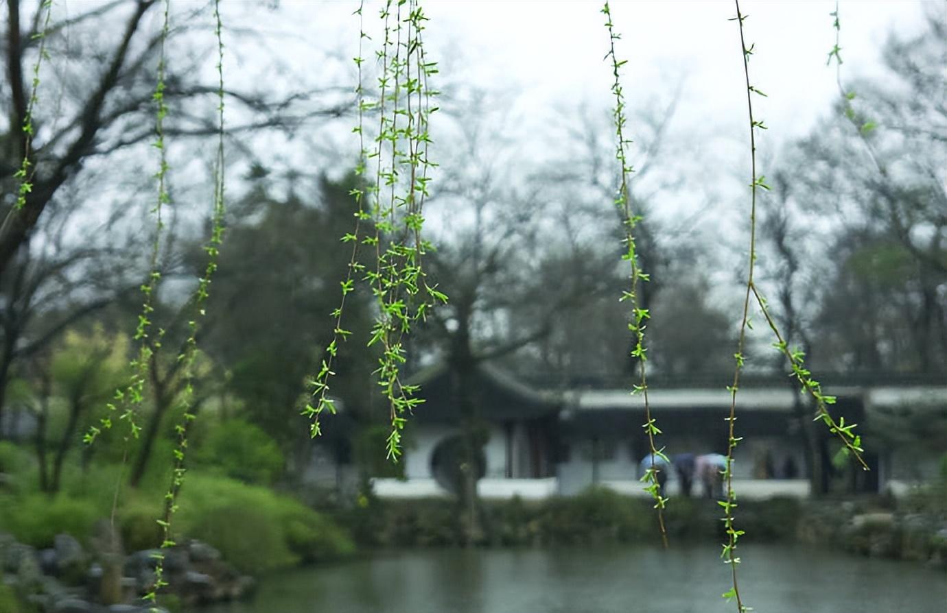 蒋山卿的十首经典诗词（春风细雨柴门闭，一树莺啼杏子花）