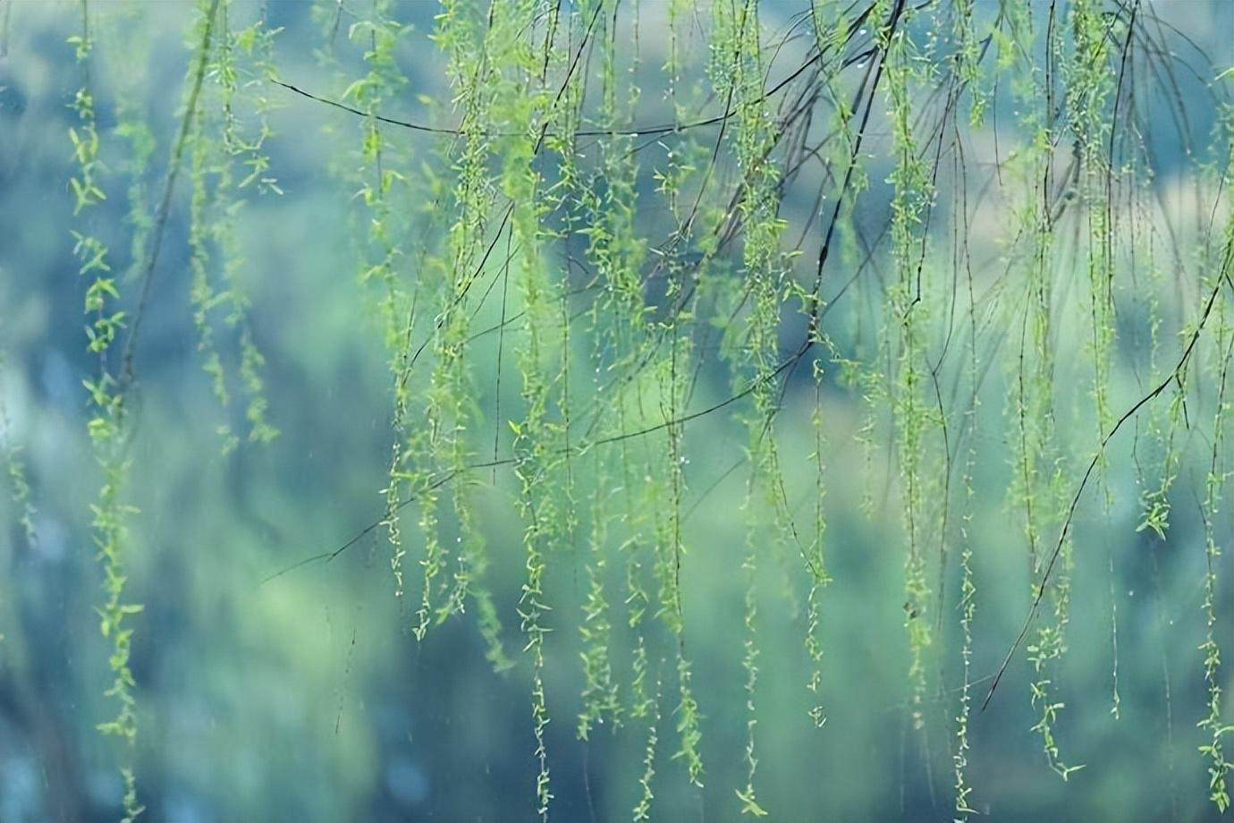 蒋山卿的十首经典诗词（春风细雨柴门闭，一树莺啼杏子花）