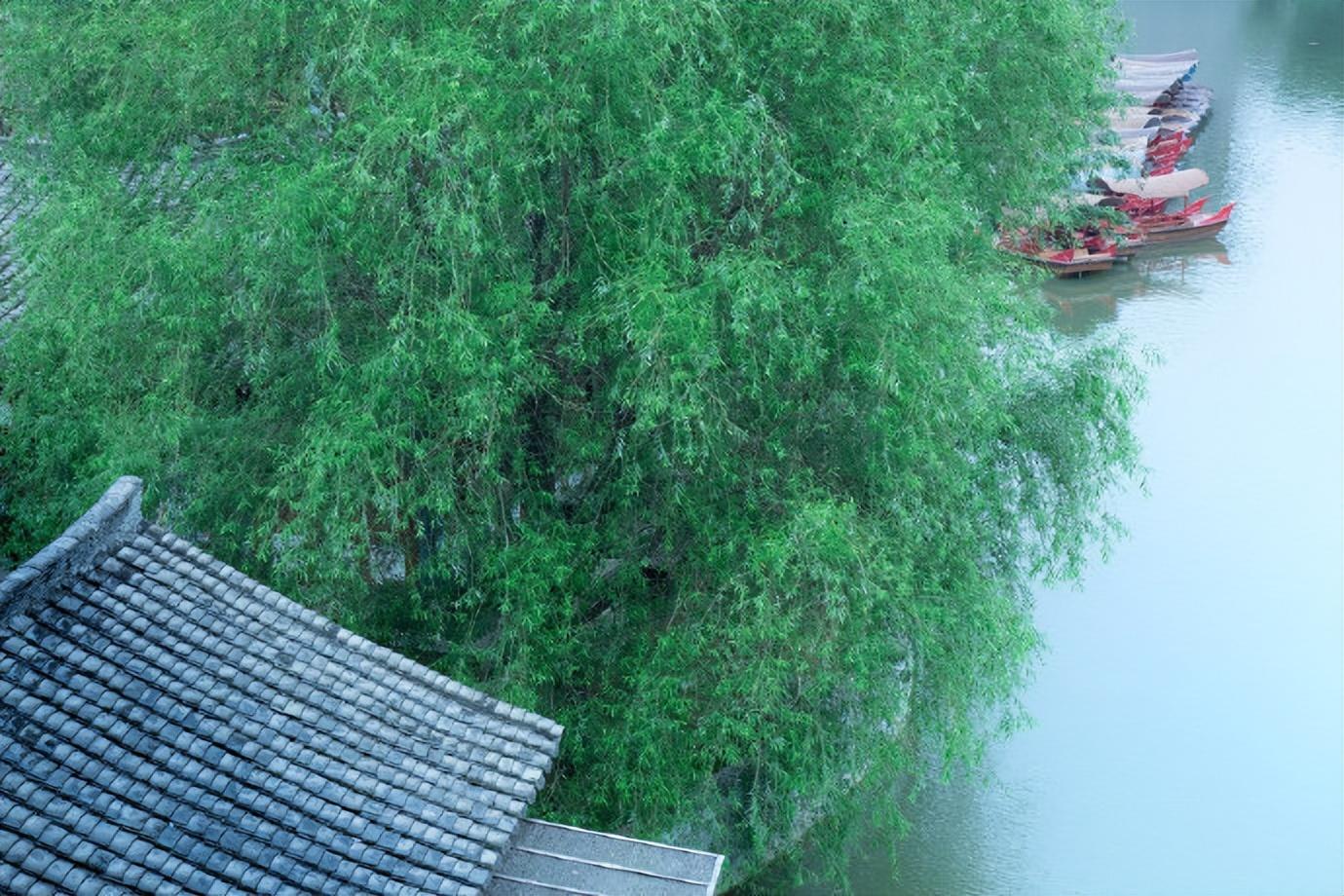 蒋山卿的十首经典诗词（春风细雨柴门闭，一树莺啼杏子花）