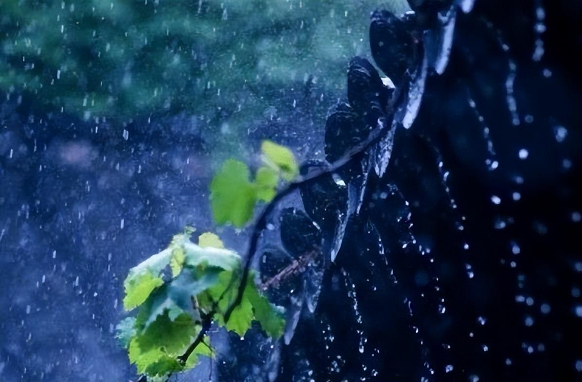 扫石共看山色坐，枕书同听雨声眠（十五首唯美的听雨诗词）