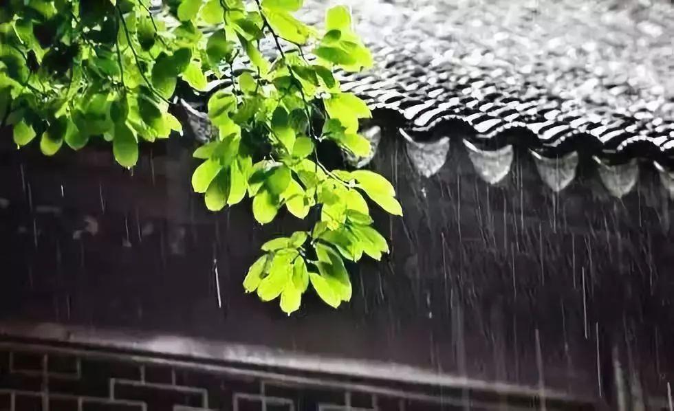 扫石共看山色坐，枕书同听雨声眠（十五首唯美的听雨诗词）