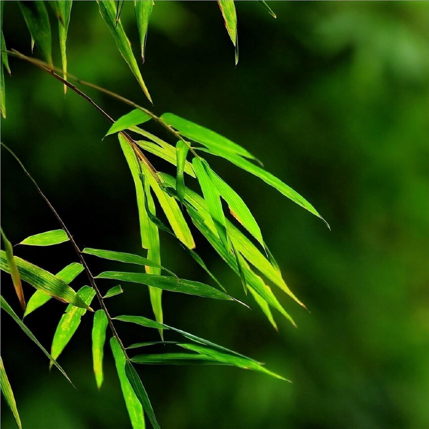 冯时行的十首诗词（愿祝君如此山水，滔滔岌岌风云起）