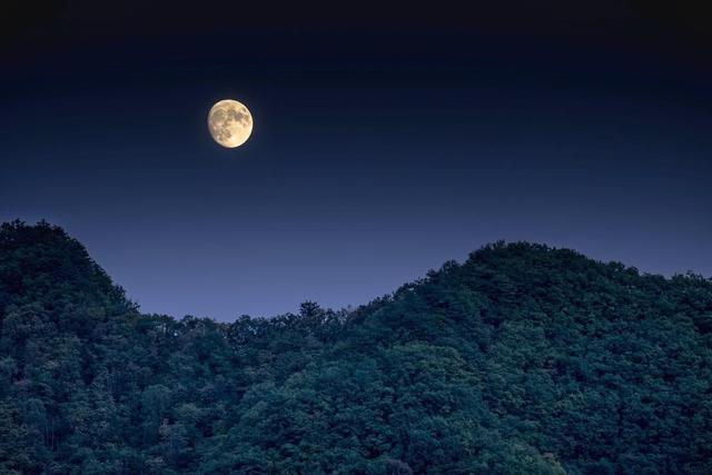 夏夜经典诗词鉴赏（二十首经典夏夜诗词）