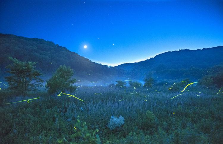 夏夜经典诗词鉴赏（二十首经典夏夜诗词）