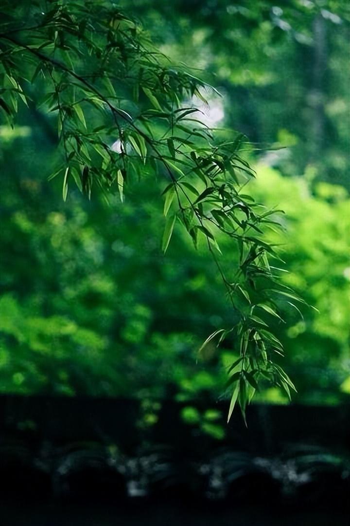 胡俨的十首经典诗词（春从花上去，风过竹间清）