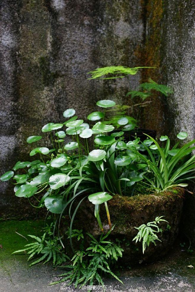 胡俨的十首经典诗词（春从花上去，风过竹间清）